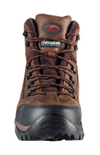 Brown Composite Toe EH WP Insulated 6" Work Boot